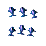 ecco 2 3d dolphin
