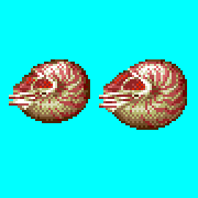 ecco 2 mollusk