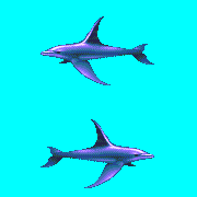 ecco 2 trellia skyfin