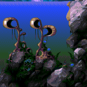 fin to feather level map foreground