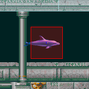 fish city object map