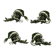 ecco 2 vortex hybrid