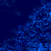 mysterious ridge level map background