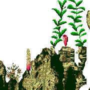 seal rocks level map foreground