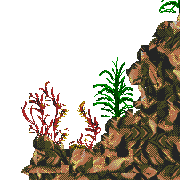shell round up level map foreground