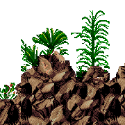 the bay of the scattered song level map foreground