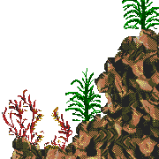 the fish caves level map foreground