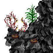 turtle islands level map foreground