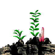 volcano bay level map foreground