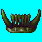 ecco vortex queen misc