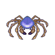 ecco artic spider