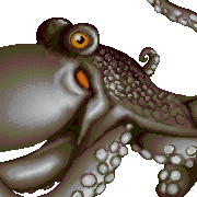 ecco octopus