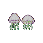 ecco prehistoric jellyfish