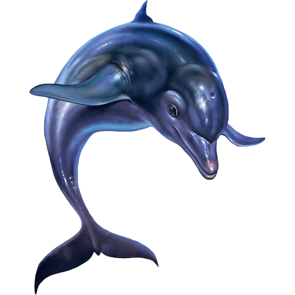 ecco the dolphin transparent